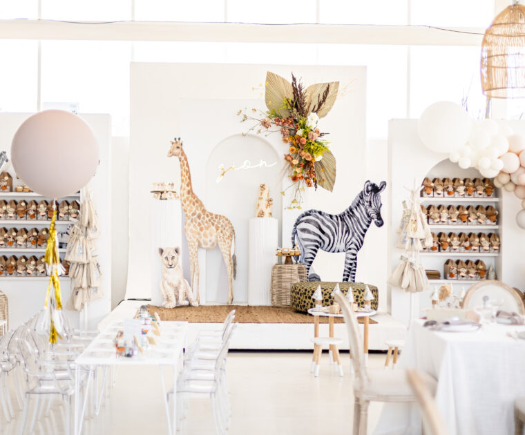 Safari birthday party Cape Town